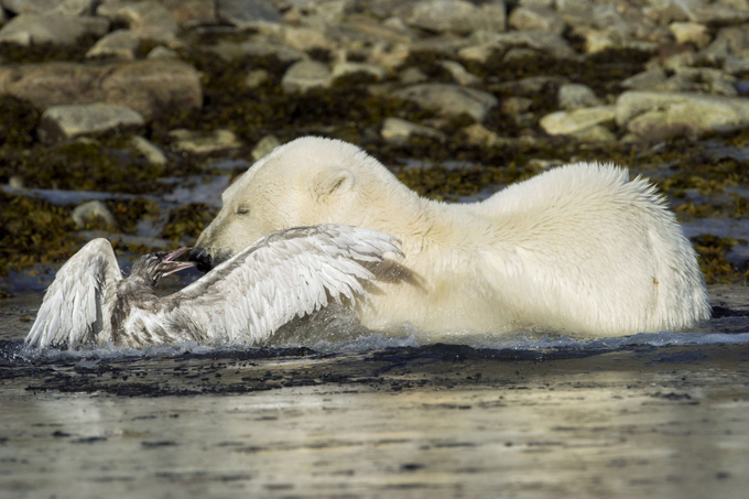 Svalbard: Arctic beauty untouched