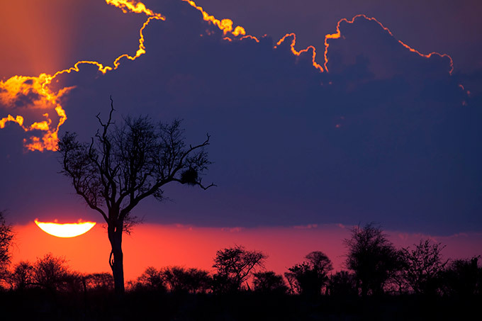 Stunning silhouettes of Africa