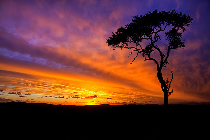 Stunning silhouettes of Africa