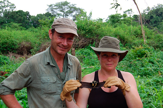 Panda-looking bat found in South Sudan