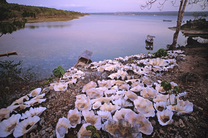 The countries one should not visit in 2016