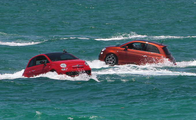Amphibious Sea Lion, fastest on land and at sea