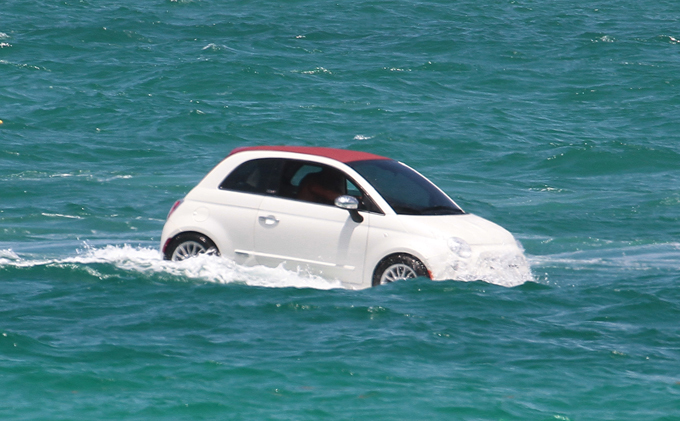 Amphibious Sea Lion, fastest on land and at sea