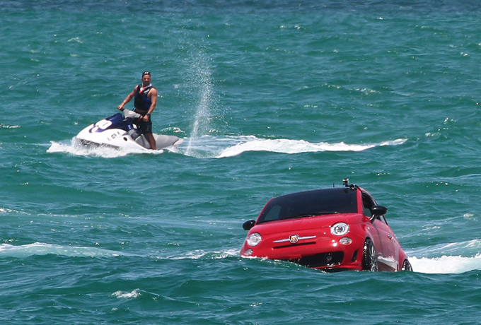 Amphibious Sea Lion, fastest on land and at sea