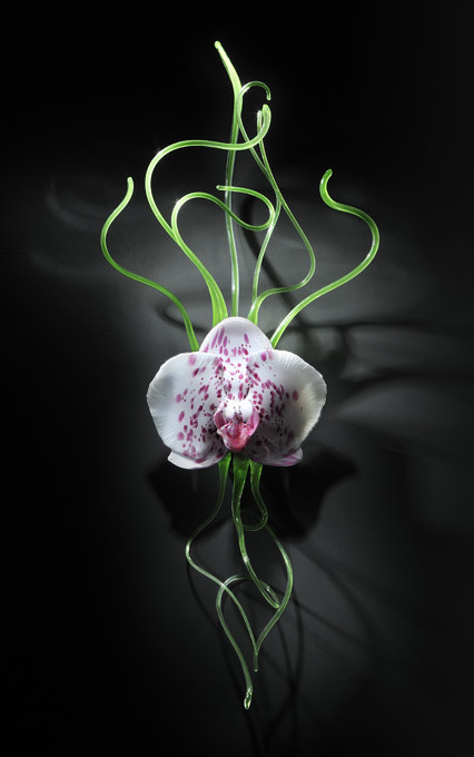Gigantic orchids made of glass