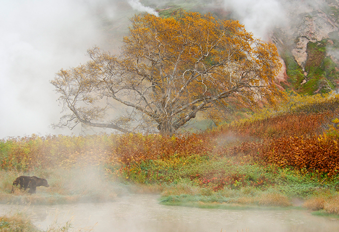 The Valley of Geysers in Russia's Kamchatka