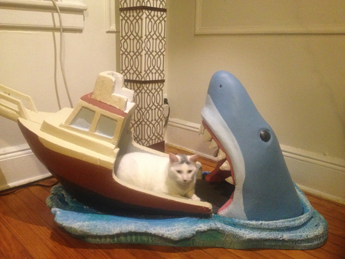 Would you put your baby in this bed?