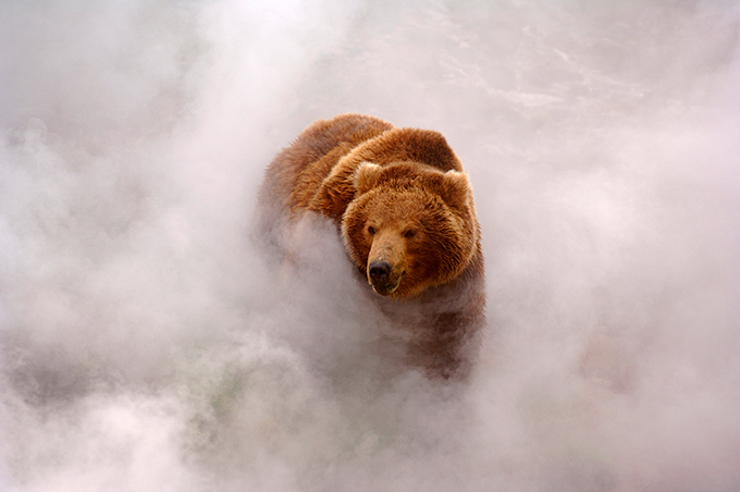 The Valley of Geysers in Russia's Kamchatka