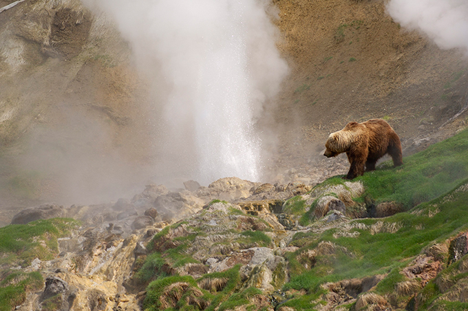 The Valley of Geysers in Russia's Kamchatka