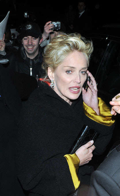 Hollywood icons: Sharon Stone