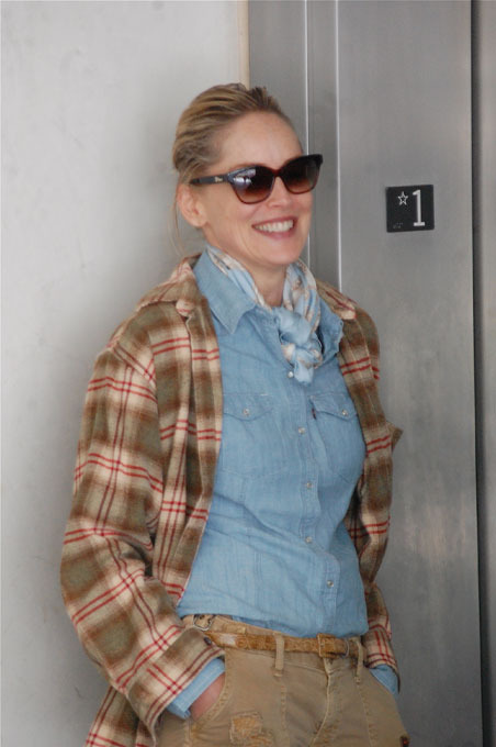 Hollywood icons: Sharon Stone