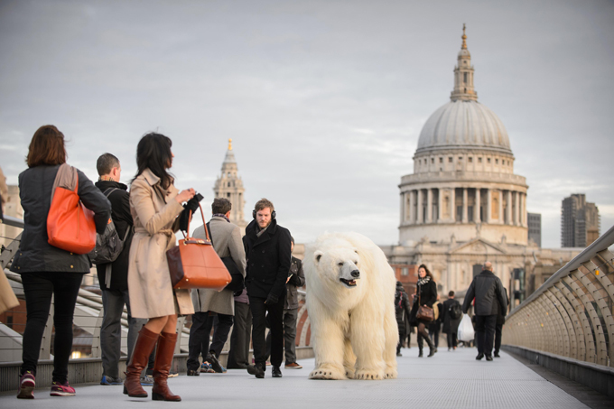 Polar bears roaming in London