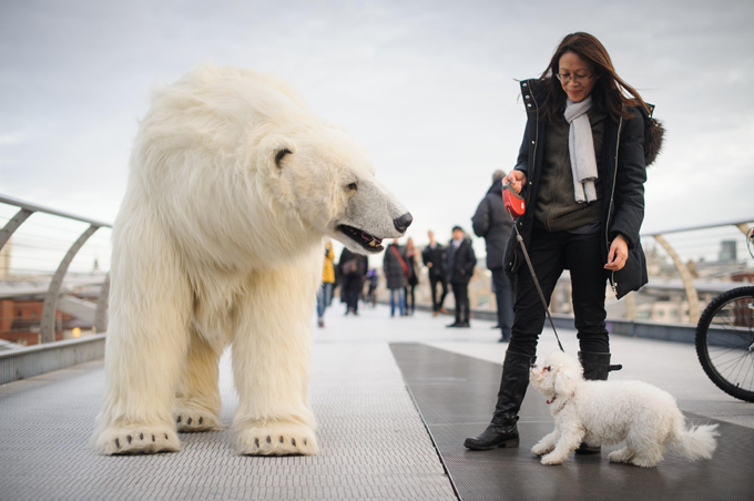 Polar bears roaming in London