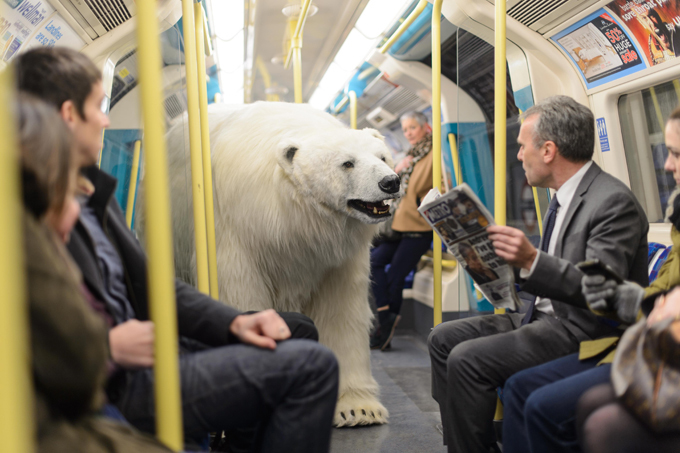 Polar bears roaming in London