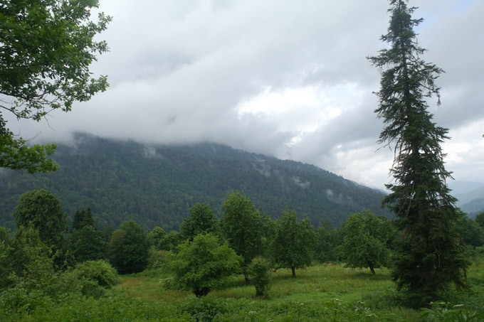 Pristine beauty of Kodory Gorge