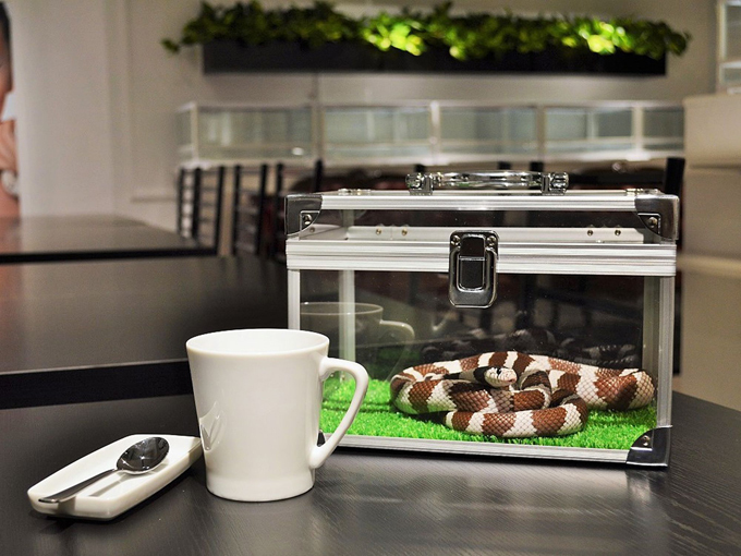 Interesting pics from around the world