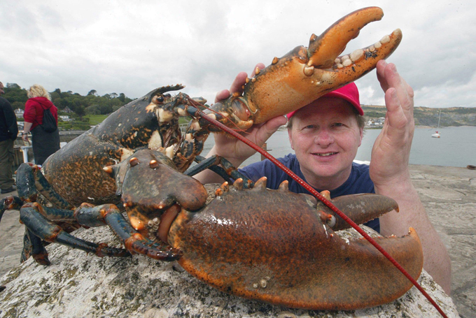 Some creatures already live eternal life