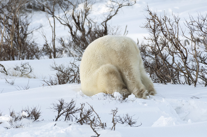 Pristine beauty of Russian nature
