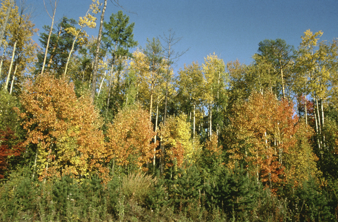 Pristine beauty of Russian nature
