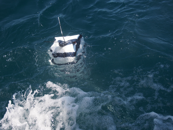 Australians design anti-shark wetsuit