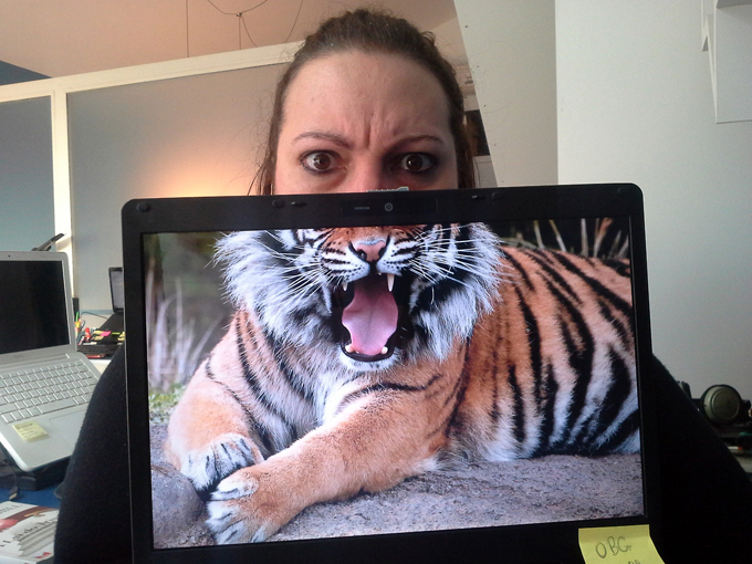 Hilarious desktop safari