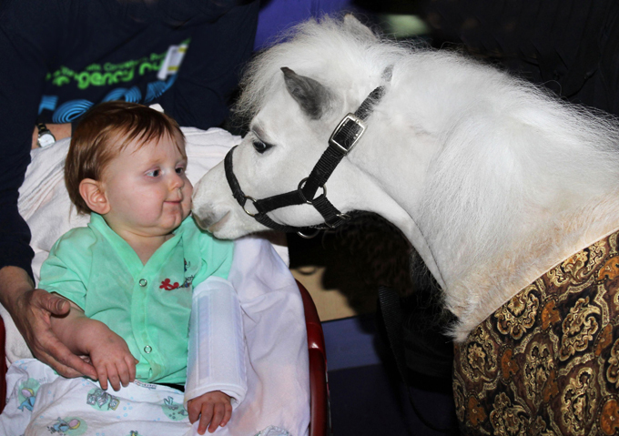 Animals have bad days too