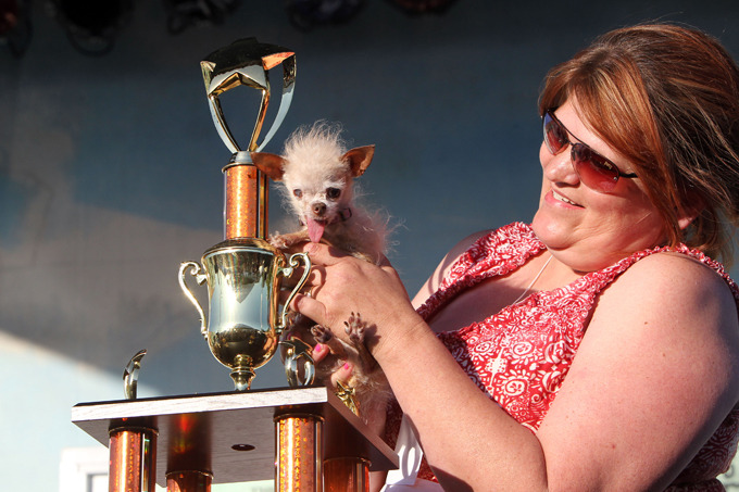 Ugliest dog in the world
