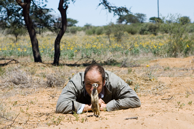 Meerkats: Sunny angels