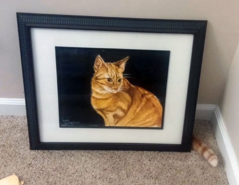 Ghost cats that no one can see