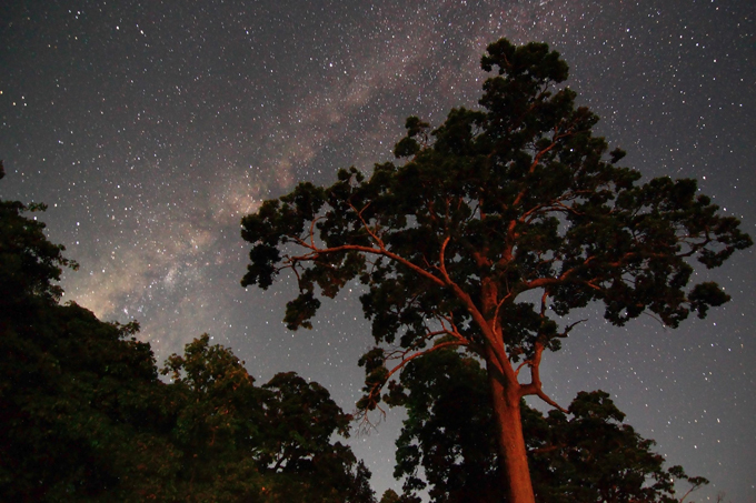 India, unrecognizable