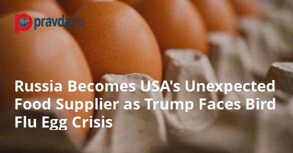 Russia Becomes USA’s Unexpected Food Supplier as Trump Faces Bird Flu Egg Crisis