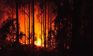 Tragedy in Portugal: 62 die in forest fire