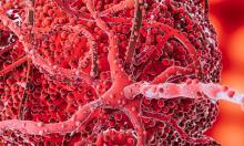 Russian Scientists Develop Cancer Therapy That Eliminates Metastases in Rodent Models