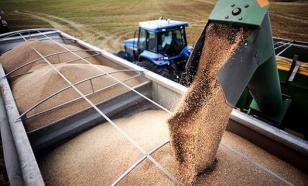 Grain prices break record, Italy to shut down 11% of agricultural companies
