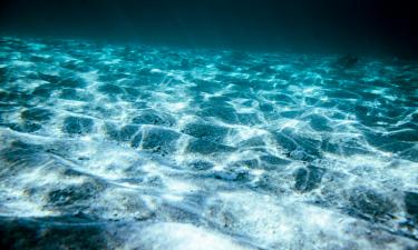 Ocean Warming Triggers Methylmercury Production in Marine Life