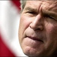 The Legacy of Bush IV