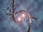 Italian scientists take first DNA image