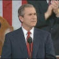 The Legacy of Bush V