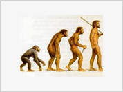 Creationists right on entropy, evolution