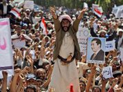 No democracy whatsoever for Yemen and Bahrain