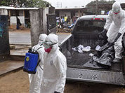 Ebola Virus Disease: What is going on?