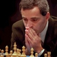 Retired chess champion takes up politics and suffers chessboard attack