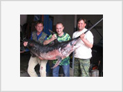 Russian fisherman catches giant tropical swordfish in northern sea