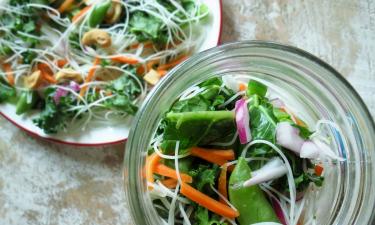 Doctor Reveals the One Golden Rule That Should Guide Every Meal