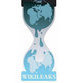 WikiLeaks deprived of financial oxygen