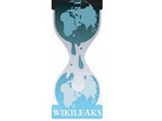 WikiLeaks deprived of financial oxygen