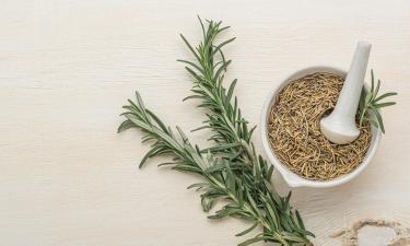 The Real Reason Rosemary Is Suddenly Everywhere in Haircare