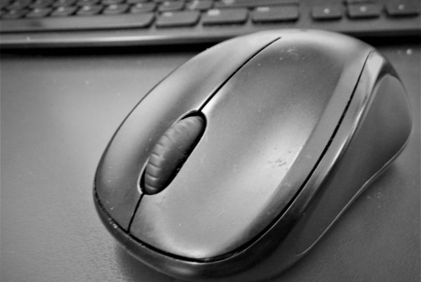 A computer mouse in black and white with a computer keyboard behind it