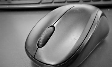 The Story of the Mouse: A Gadget That Shaped the Digital Age