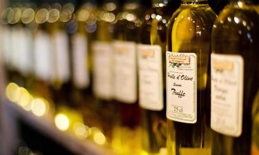 Daily Olive Oil Intake Enhances Gut, Mind, and Skin Health in Older Adults